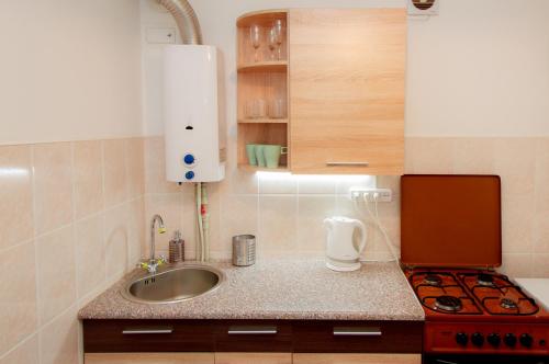 a small kitchen with a sink and a stove at Apartment on Soborniy 85 in Oleksandriya