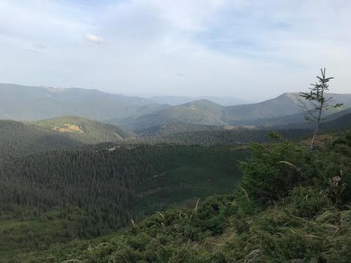 a view of a valley with mountains in the distance at Під Явором in Vorokhta