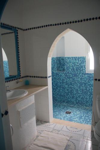 a bathroom with a shower and a sink and a toilet at Dar Amphora Menzel in Midoun