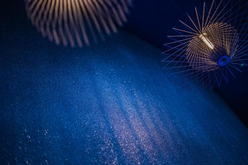 two jellyfish sitting on top of a blue surface at Gourmet AlpinHotel Sonnleiten in Cadipietra