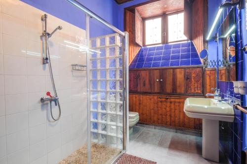 a bathroom with a shower and a sink and a toilet at Casa Tradicional Canaria in Garachico