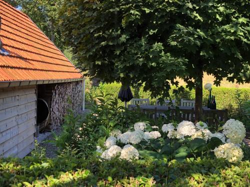 a garden with white flowers in front of a building at B&B de Tol in Hulst