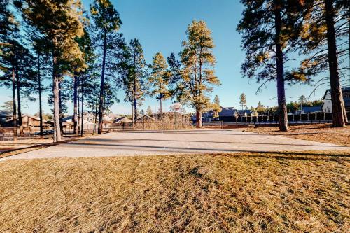 Timber's Landing – Fotos 4