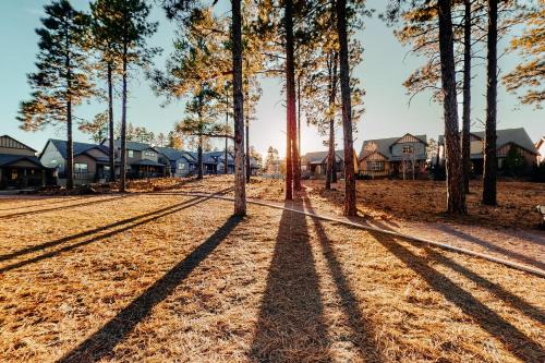 Timber's Landing – Fotos 5