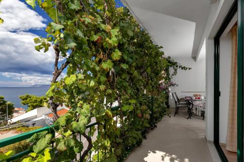 Apartmani Antonela – Photos 4