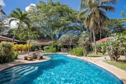 - une piscine dans une cour avec des palmiers dans l'établissement The Grateful Hotel, à Playa Grande
