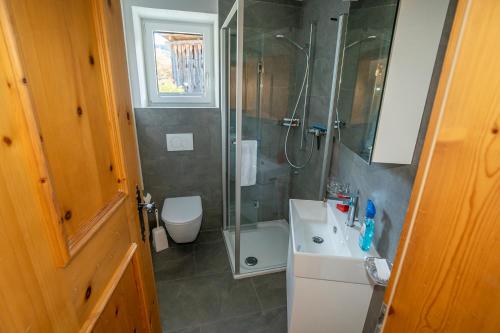 a bathroom with a shower and a sink and a toilet at Chasa Nogler - Ferienwohnung in Ramosch