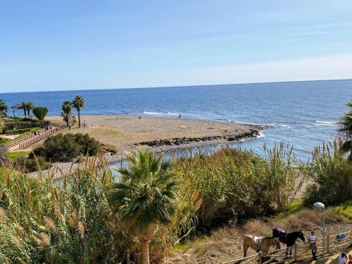Cortijo Blanco Beachfront - EaW Homes, Marbella – Updated ...