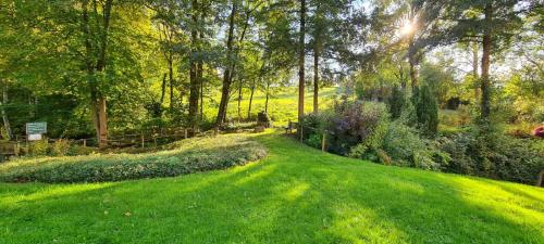 a lush green yard with trees and a grass field at Ferienwohnung am Waldsee mit Schwimmbad in Gernsbach