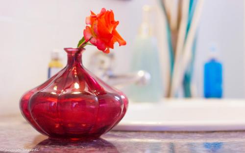a red vase with a red flower in it at Hotel Adria B&B - Colazione fino alle 12 in Misano Adriatico