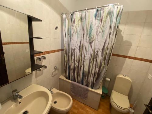 y baño con lavabo, aseo y cortina de ducha. en Casa completa en La Laguna Vivienda Vacacional en La Laguna