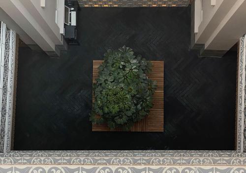 a plant in a wooden planter in a room at Hotel MX zócalo CDMX, Trademark Collection by Wyndham in Mexico City