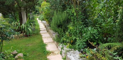 a garden with a stone path in the grass at BnB Comfort Guesthouse Olten - Lostorf in Lostorf