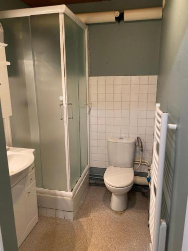 a small bathroom with a toilet and a shower at Studio résidence les vans in Chamrousse