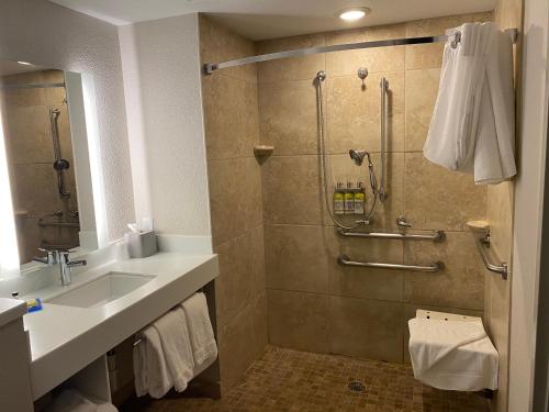 a bathroom with a shower and a sink at Holiday Inn Express & Suites Albuquerque Historic Old Town, an IHG Hotel in Albuquerque
