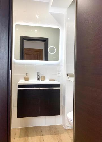 une salle de bain avec un lavabo et un miroir dans l'établissement Appart' Weekly Quartier Impérial Gare, à Metz