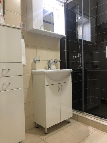 y baño con lavabo y ducha. en Apartman Jezdić, en Banja Koviljača