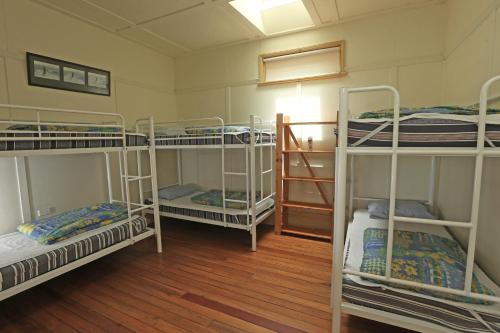 
A bunk bed or bunk beds in a room at Sydney, Pittwater Eco YHA
