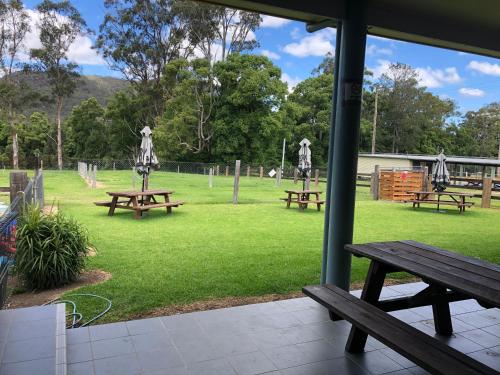 a group of picnic tables in a park at The Golden Dog Hotel in Nana Glen