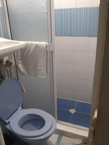 a bathroom with a blue toilet and a shower at Comfortable inn Green Sea Villa Helen, Kilometro 4 Circunvalar in San Andrés