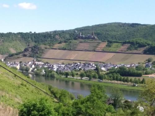 Blick auf eine Stadt und einen Fluss in der Unterkunft Ferienwohnung Sommer in Löf