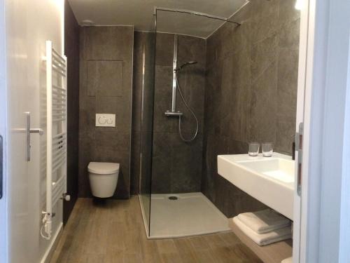 a bathroom with a shower and a toilet and a sink at Auberge Quintessence in Roubion