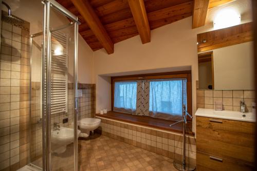 een badkamer met douche, toilet en wastafel bij L'Atelier du Temps - Les Greniers Appartements in Aosta