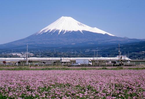 a mountain with a train in front of a field of flowers at Business Hotel Sunpu in Shizuoka