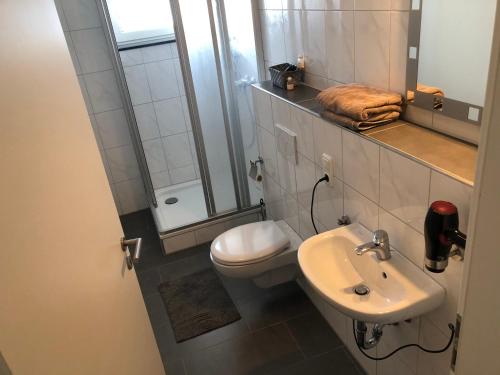 a small bathroom with a toilet and a sink at Hotel Restaurant Dalmacija in Gangelt
