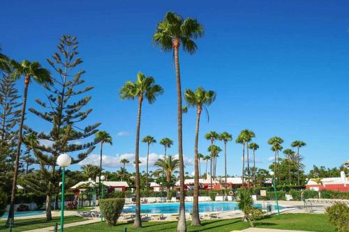 - Vistas a la piscina del complejo, con palmeras en Los Tunos 81 Air conditioned 1 bedroom, en Maspalomas