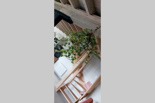 an overhead view of a balcony with a plant at Domaine de Solémy in Bully