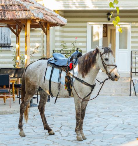 a white horse standing on a stone sidewalk at Vila 1 in Korçë