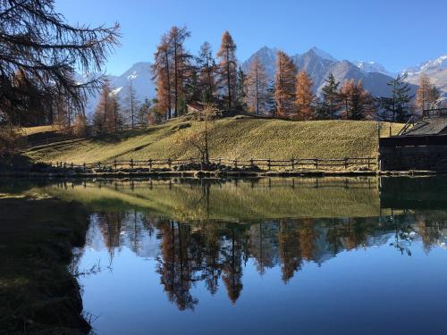 einen Teich mit einem Zaun und einen Hügel mit Bäumen in der Unterkunft Chalet Safran in Grächen