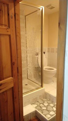 a bathroom with a shower and a toilet at Hollingworth Lake Guest House Room Only Accommodation in Littleborough