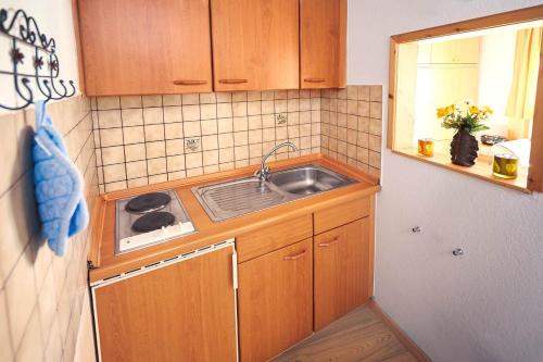 a small kitchen with wooden cabinets and a sink at Ferienhof-Heidemann-Ferienwohnung-4 in Neustadt am Rübenberge