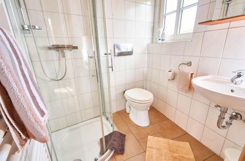 a bathroom with a shower and a toilet and a sink at Ferienhof-Heidemann-Ferienwohnung-4 in Neustadt am Rübenberge