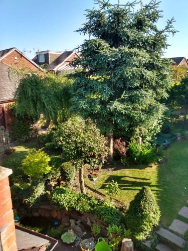 a garden with a large tree in a yard at Hollingworth Lake Guest House Room Only Accommodation in Littleborough
