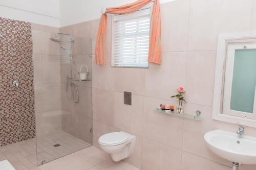 a bathroom with a toilet and a shower and a sink at Paternoster Lodge in Paternoster