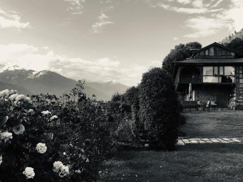 Paisaje cerca de este hotel
