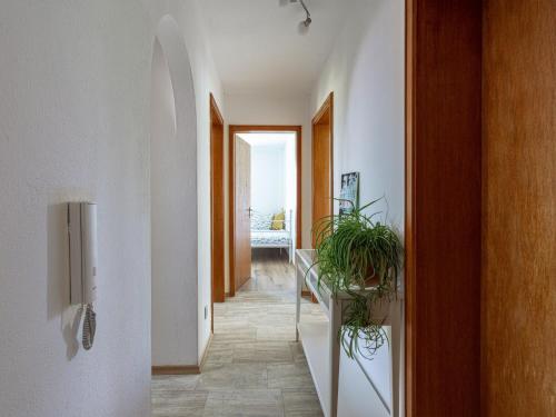 a hallway with a plant on a glass table at Ferienwohnung Landurlaub in Bad Feilnbach
