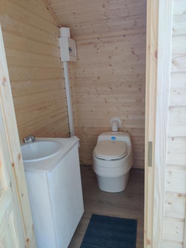 a small bathroom with a toilet and a sink at Polar Lights Lodge in Sirkka