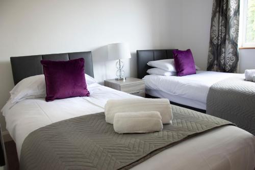 Friarscroft Lodge Holiday Home في ويموندهام: غرفة نوم بسريرين مع وسائد أرجوانية