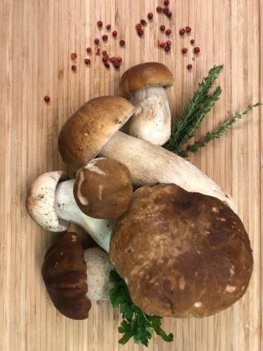 a group of mushrooms on a wooden table with rosemary at Restaurant Gästehaus Wiesenheim in Uderns