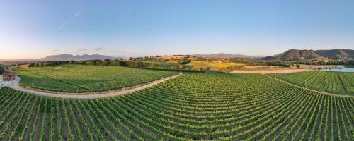 an aerial view of a field of green crops at Fattoria Didattica La Collina Incantata in Narni