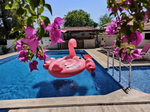 Gambar di galeri bagi Işıl Suit Apart Otel di Dalyan