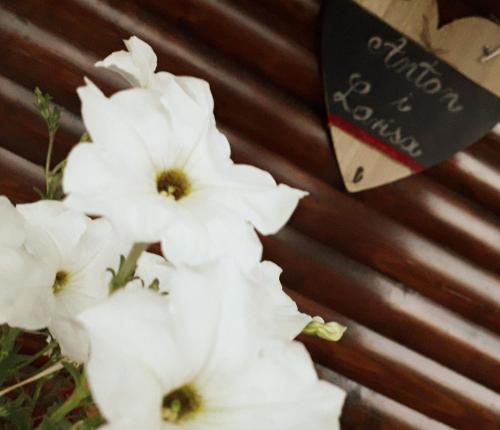 a bunch of white flowers sitting next to a fence at Apartman ŠOKICA in Bizovac
