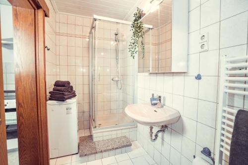 La salle de bains est pourvue d'un lavabo et d'une douche. dans l'établissement Auberge Leipzig, à Leipzig