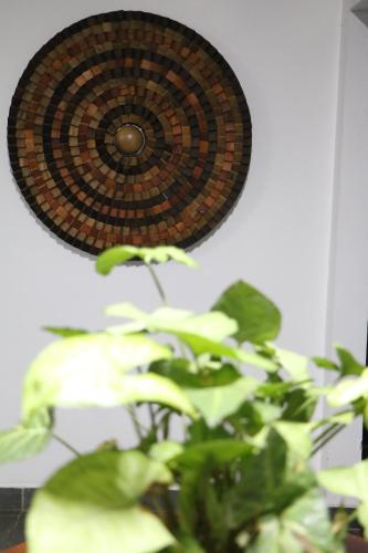 a plant in front of a wall with a clock at Excelente quarto com cama de casal king em casa perto do aeroporto de Curitiba in São José dos Pinhais