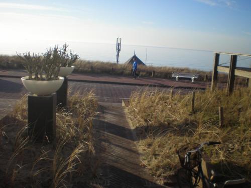 a view of a road with a plant in a pot at B&B Zeespiegel in Zandvoort