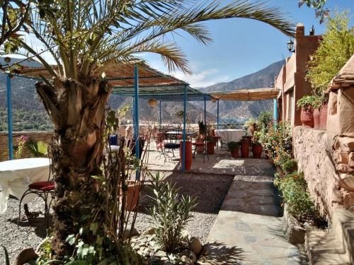 une terrasse avec une table et un palmier dans l'établissement Kasbah de Ouirgane, à Ouirgane